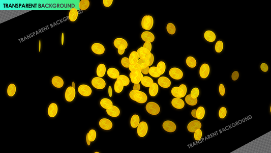 Dollar Coin Burst Celebration and Transaction