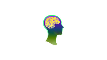 Chemical Reaction Brain