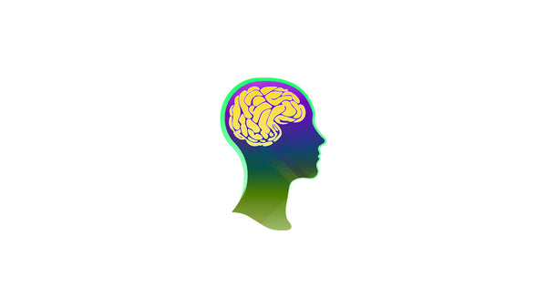 Neural Activity Brain