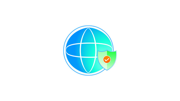 Web Security Firewall