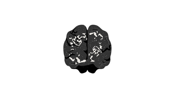 Neural Brain Activity