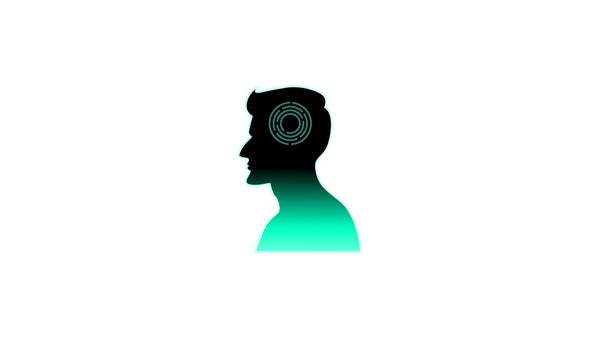 Mindfulness and Focus Brain