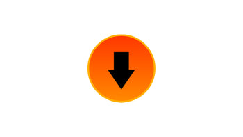 Data Export Icon