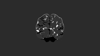 Brain Reaction
