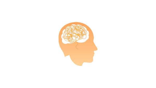 Noisy Scribble Brain