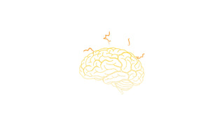 Panic Cerebral Reaction