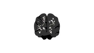 Cerebral Function Activity