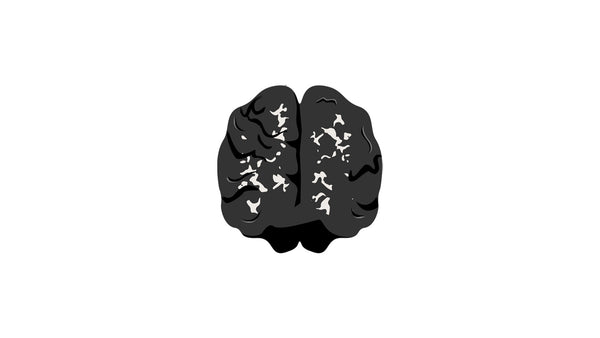 Cerebral Function Activity