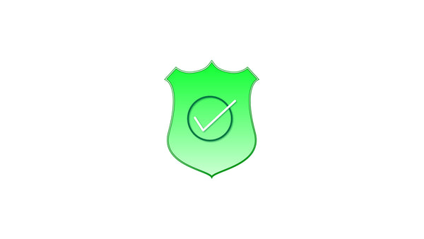 Validated Defense Shield