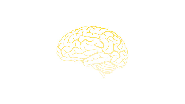 Biological Human Brain