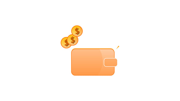 Budget Management Wallet