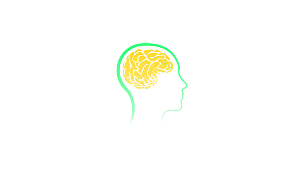 Cognitive Brain Function
