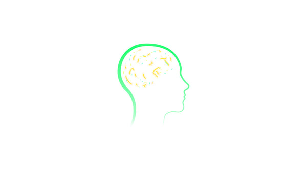 Human Mind Cognition