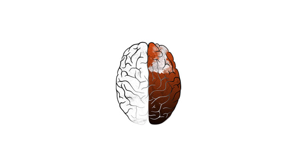 Brain Hemisphere Lateralization