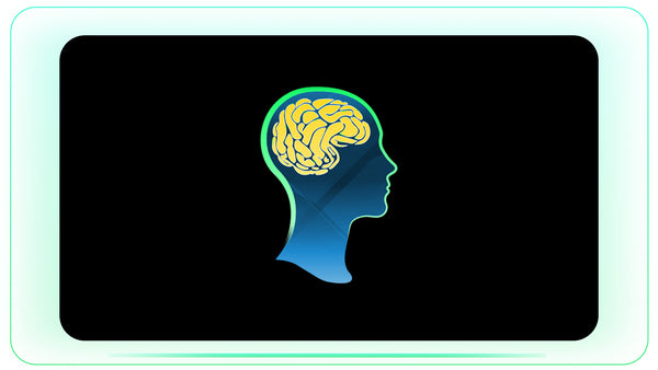 Neural Reaction Brain