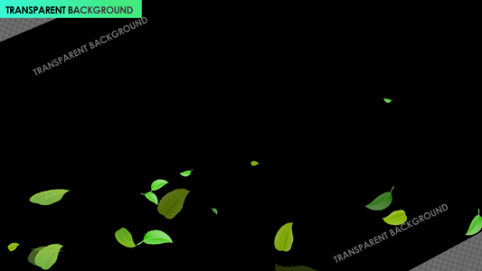Green Fresh Leaves Windy Movement Nature Overlay