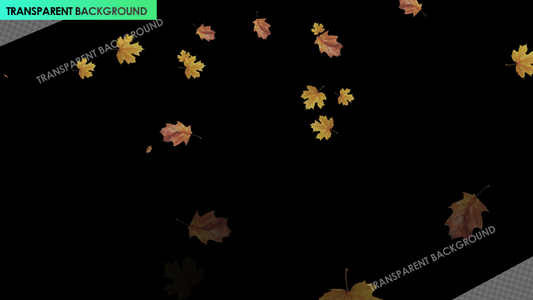 Autumn Summer Leaves Floating Overlay