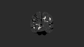 Brain Top View
