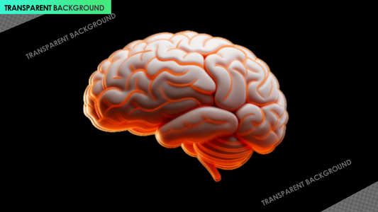 Layered 3D Brain Outline for Mind and Body Stimulation