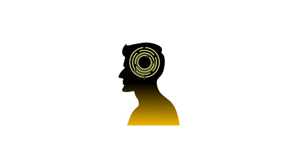 Introspective Focused Brain