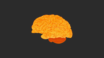 Abstract Artistic Brain