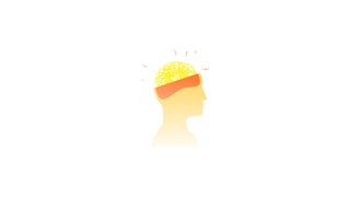Imagination Scribble Brain