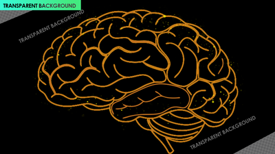 Basic Brain Outline with Health and Mind Stimulation