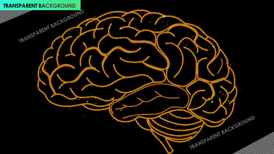 Basic Brain Outline with Health and Mind Stimulation