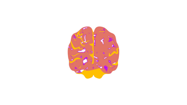 Cerebral View Activity