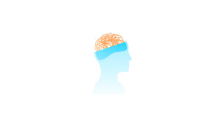 Doodle Scribble Brain
