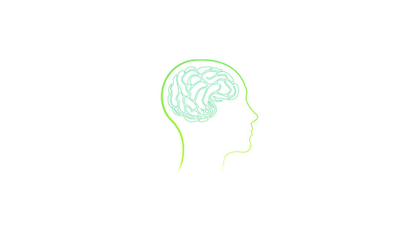 Neurotransmitter Brain Activity