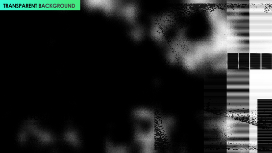 Quick Flash Grunge Matte Transition Effect