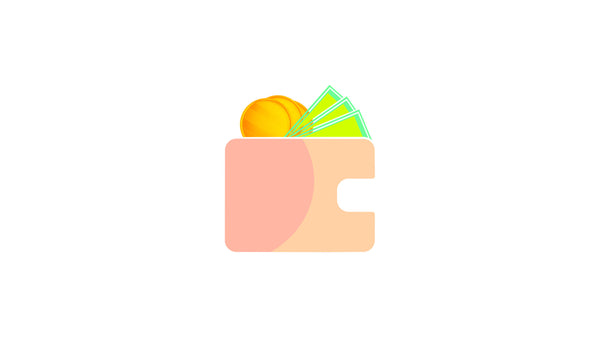Financial Coin Wallet