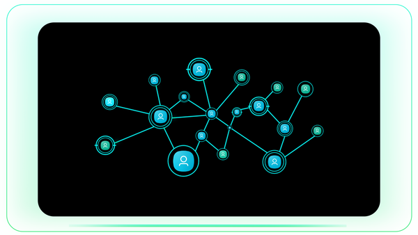 Connecting Network Branches and Users Glitch Reveal