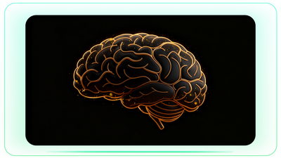 3D Layered Brain Outline with Neurochemical Interaction