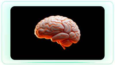 Layered 3D Brain Outline for Mind and Body Stimulation