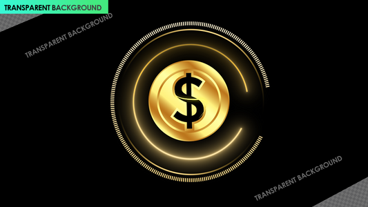 Gold USD Dollar Coin Flip Currency Reveal