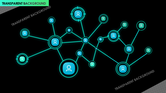 Connecting Network Branches and Users Glitch Reveal