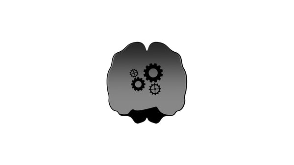 Human Cognition Mind