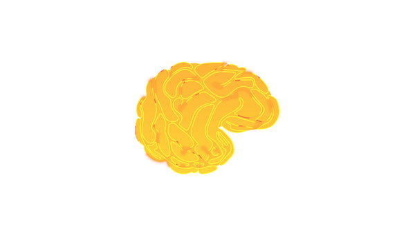 Conscious Thought Process