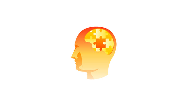 Puzzle Piece Brain
