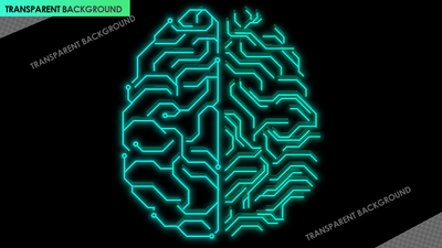 Brain Top View with Network and Signals