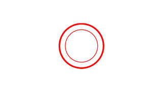 Red Emphasis Circle