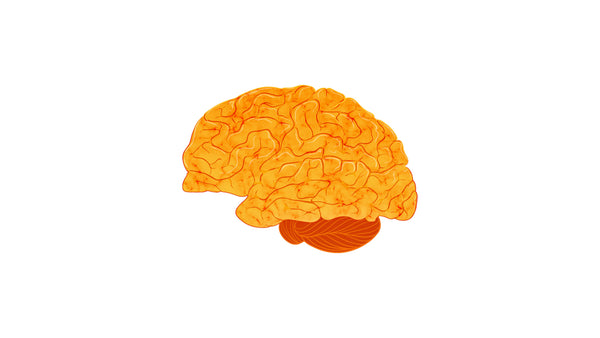 Realistic Human Brain