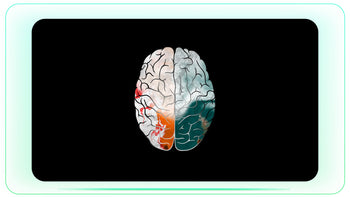 Creative Right Brain
