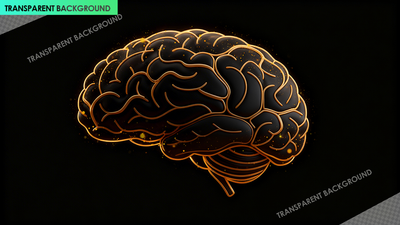 3D Layered Brain Outline with Neurochemical Interaction