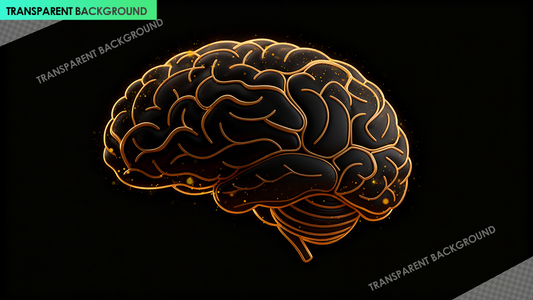3D Layered Brain Outline with Neurochemical Interaction