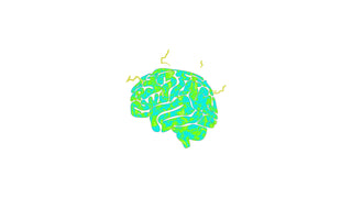 Hyperactive Stress Brain
