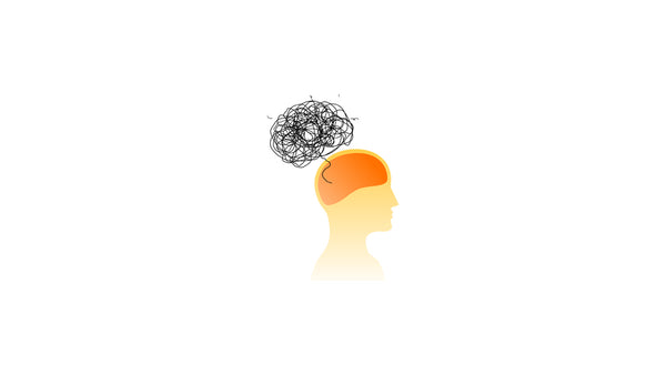 Sketch Scribble Brain